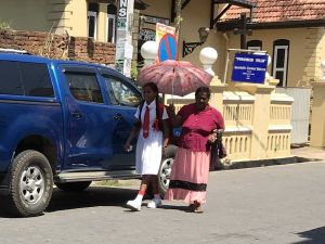 IMG 3762 (Bearbeitet)